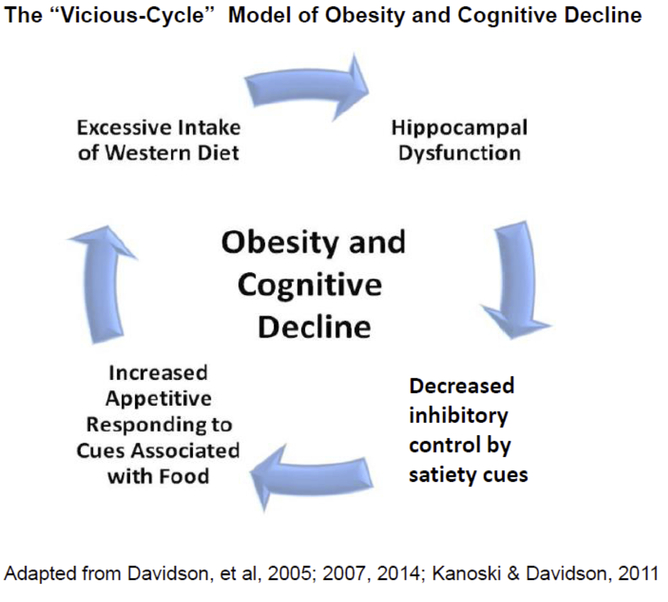 vicious obesity cycle